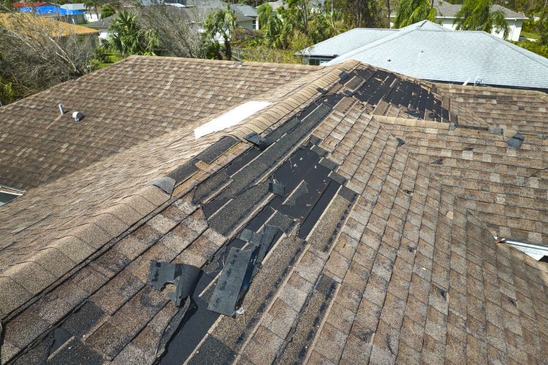Professional Roof Inspection